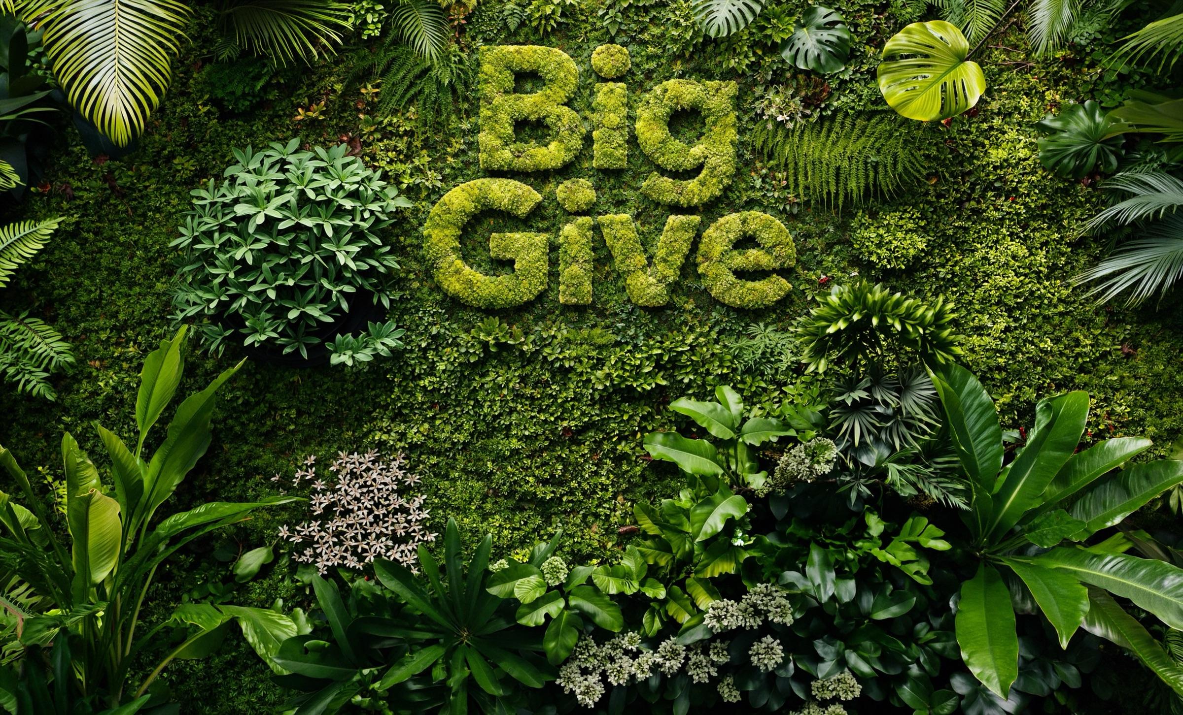 The Big Give